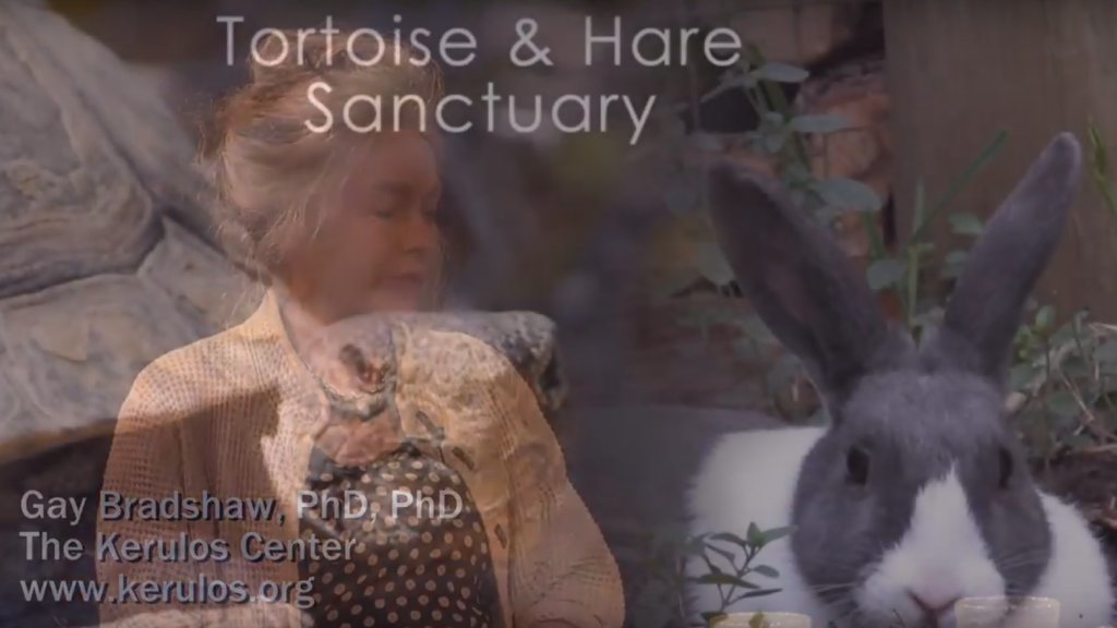 Animal Matters Interview